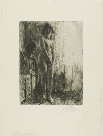 Karanlık Bir Köşe by Anders Leonard Zorn