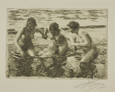 Akıntıya karşı by Anders Leonard Zorn