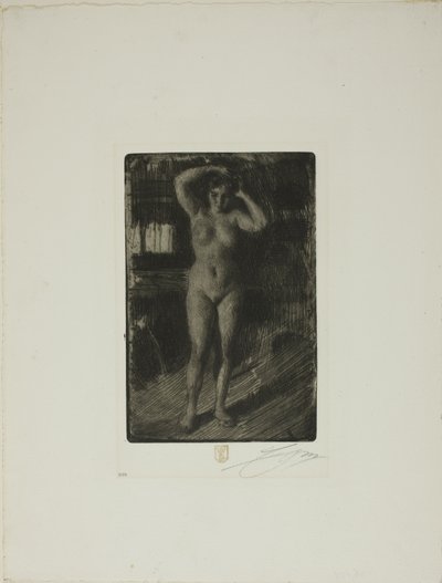 Anna Saçını Yapıyor by Anders Leonard Zorn