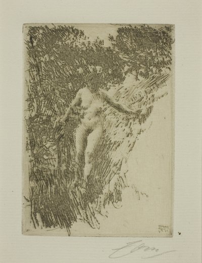çalı by Anders Leonard Zorn