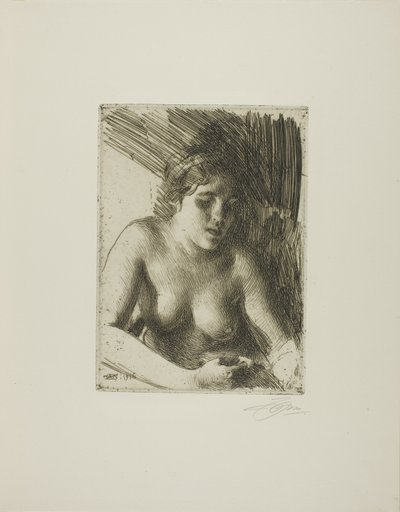 Baskın yapmak by Anders Leonard Zorn