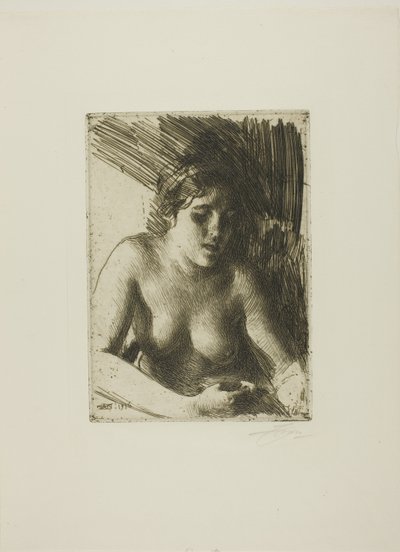 Baskın yapmak by Anders Leonard Zorn