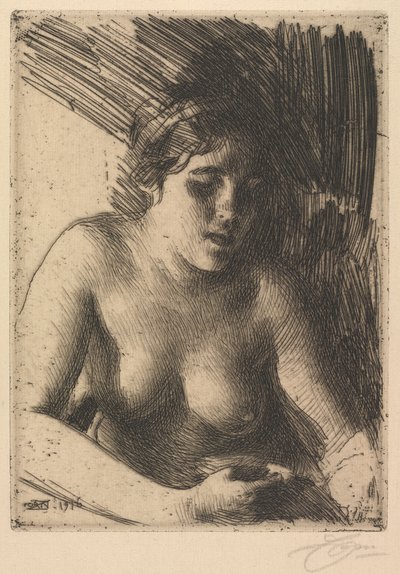 Baskın yapmak by Anders Leonard Zorn