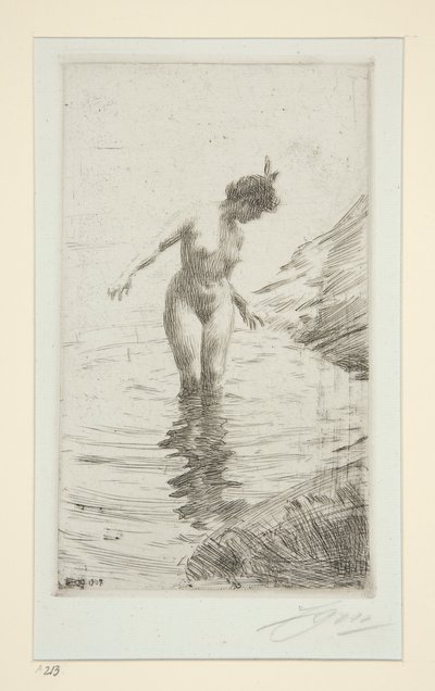daireler d by Anders Leonard Zorn