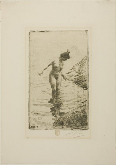  by Anders Zorn