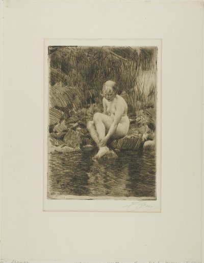Dağmar by Anders Leonard Zorn