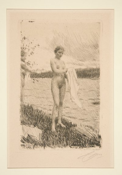 Dal Nehri by Anders Leonard Zorn
