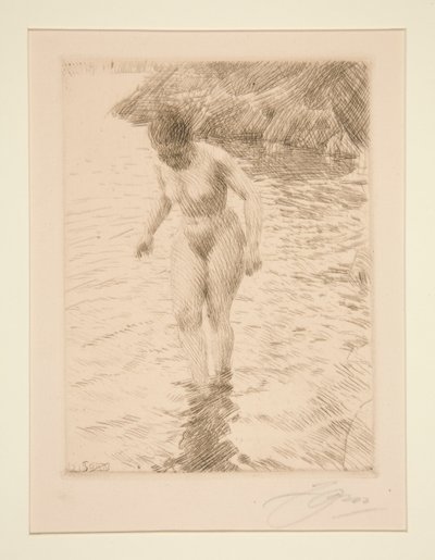 dolar by Anders Leonard Zorn
