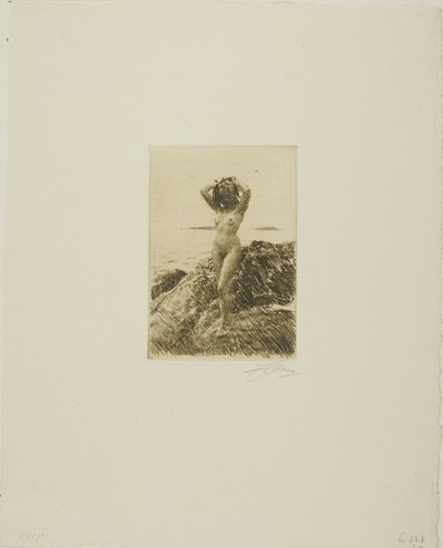 Hårtång (Deniz ağacı çelengi) by Anders Leonard Zorn