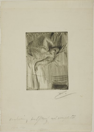 alarm by Anders Leonard Zorn
