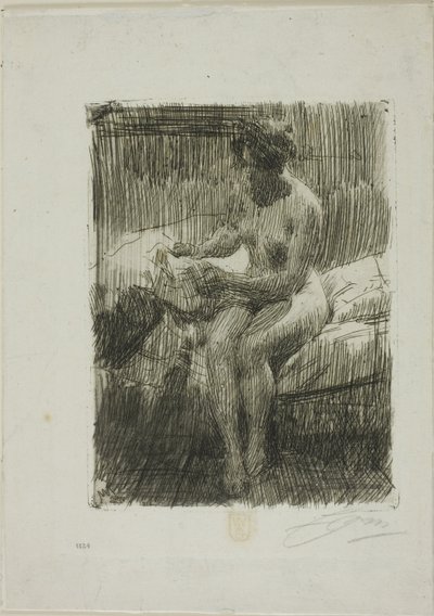 Model Okuma by Anders Leonard Zorn