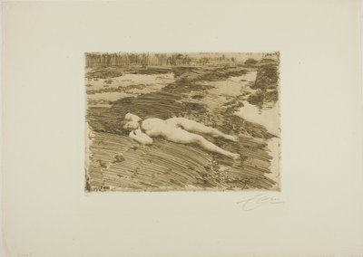 kumlarda by Anders Leonard Zorn