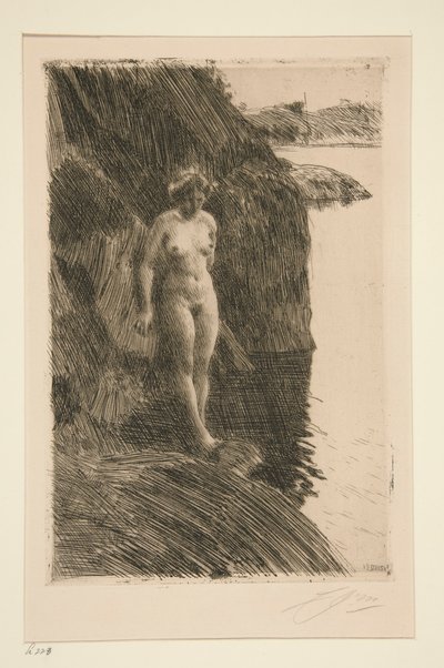 Özellikle by Anders Leonard Zorn