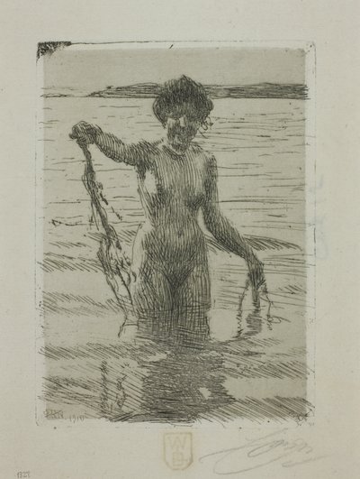 Deniz yosunu by Anders Leonard Zorn