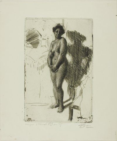 Siyah Ayakta by Anders Leonard Zorn