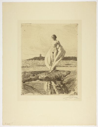 Kuğu by Anders Leonard Zorn