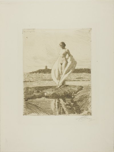 Kuğu by Anders Leonard Zorn
