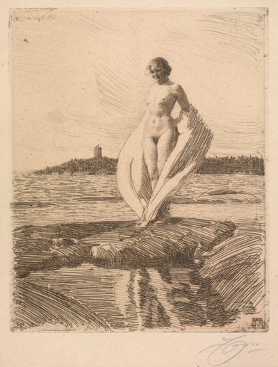 Kuğu by Anders Leonard Zorn