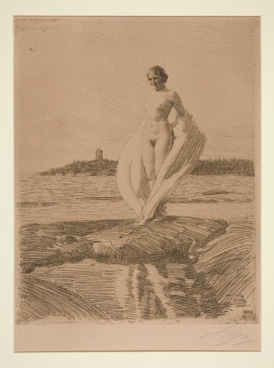 Kuğu by Anders Leonard Zorn