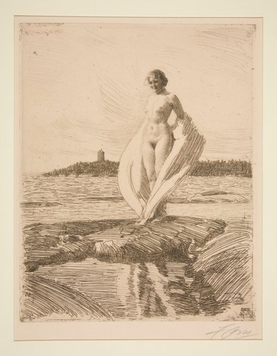 Kuğu by Anders Leonard Zorn