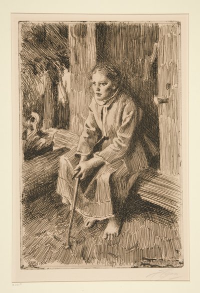 proteinli by Anders Leonard Zorn