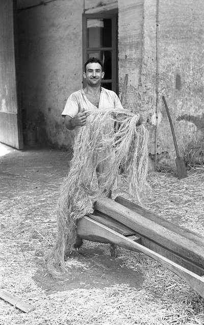  by Ando Gilardi