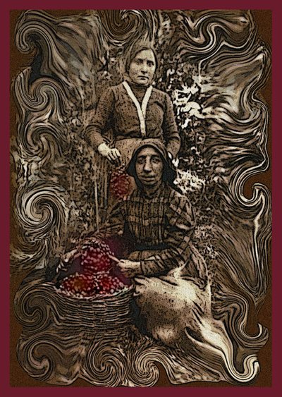  by Ando Gilardi
