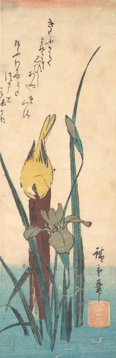 Kuş ve İris. by Ando Hiroshige