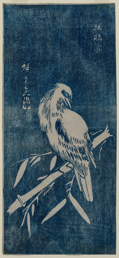 Guguk kuşu, 1840