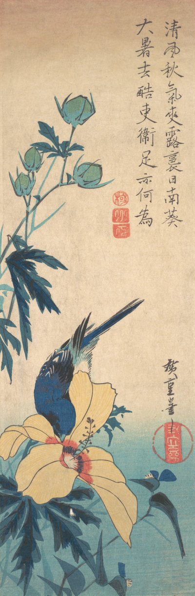 Hibiscus ve Bluebird, ca. 1832., yaklaşık 1832. by Ando Hiroshige