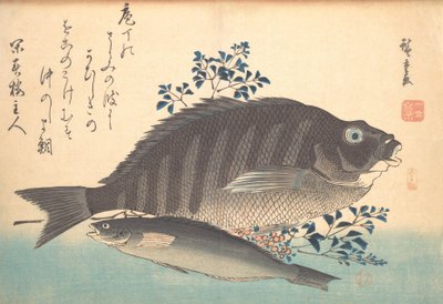 Shimadai ve Ainame Fish, Uozukshi Her Çeşit Balık serisinden, 1840
