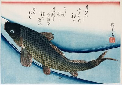 "Balık Koleksiyonu" serisinden "Sazan" by Ando or Utagawa Hiroshige
