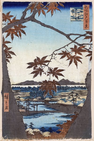 ""Edo