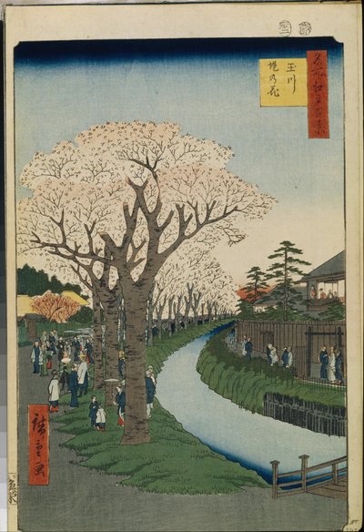 Cent vues ünlüler d"Edo: Tama Nehri Kıyısında Kiraz Çiçekleri by Ando or Utagawa Hiroshige