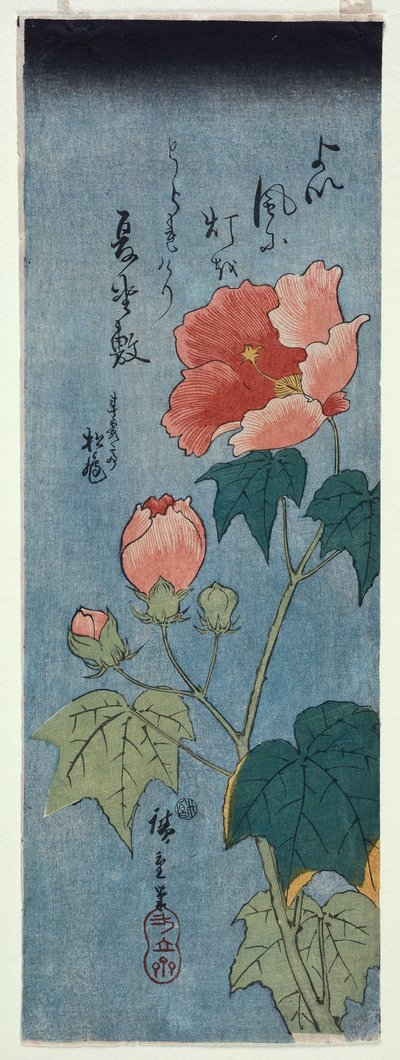 Çiçekli Gelincikler, Tanzaku by Ando or Utagawa Hiroshige