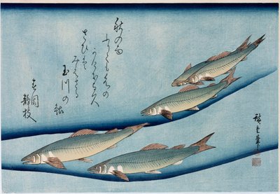 Rivertrout", "Balık Koleksiyonu" serisinden by Ando or Utagawa Hiroshige