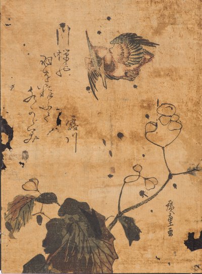 Kuş ve bitki çalışması by Ando or Utagawa Hiroshige