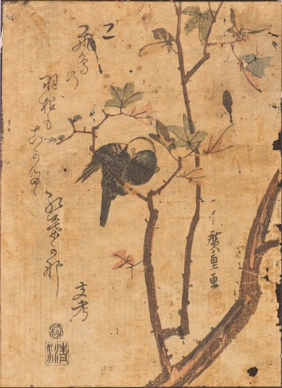 Dalda uyuyan kuş çalışması by Ando or Utagawa Hiroshige