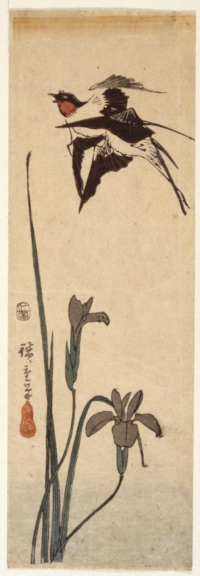Kırlangıçlar ve İris (renkli tahta baskı) by Ando or Utagawa Hiroshige