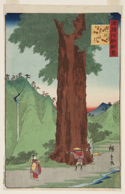 Kai Eyaletindeki Yatate Sedir Ağacı (K?sh? Yatate sugi) (renkli tahta baskı) by Ando or Utagawa Hiroshige