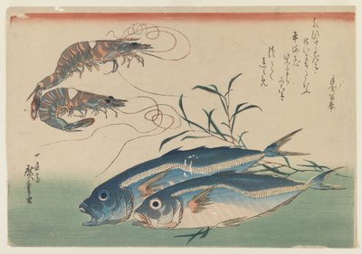 Ishusho ntoya ya Sally Ann Gage, c.1837 (wc ku mahembe y