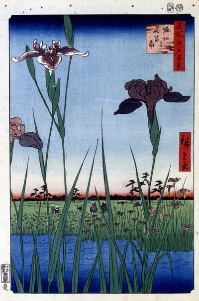 Su İris - Utagawa Hiroshige tarafından Japon baskısı. Edo