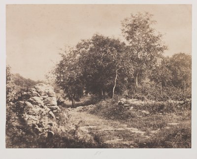 Fontainbleau