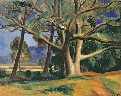  by Andre Derain