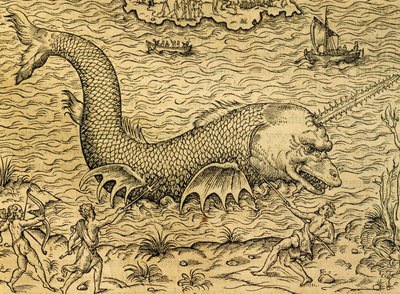 Deniz canavarı, Universal Cosmology