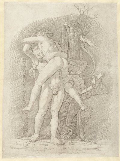 Herkül ve Antaeus Herkül yenilmez (nesne üzerindeki başlık) by Andrea Mantegna (school of)