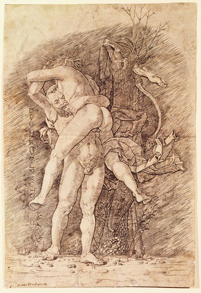 Herkül ve Antaeus, Andrea Mantegna (1431-1506), çizim. by Andrea Mantegna