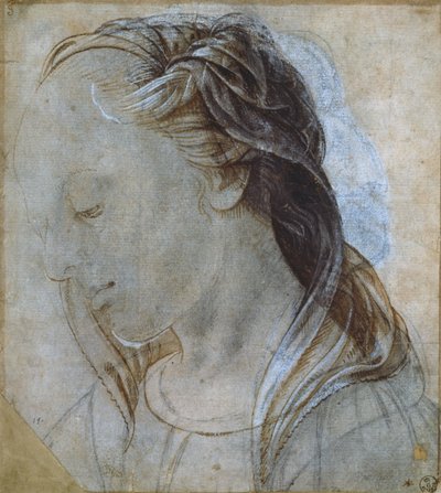 Kadın Kafası (çizim) by Andrea Verrocchio