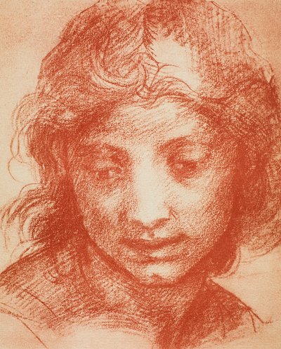 erkek kafa by Andrea del Sarto