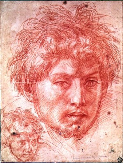 Bir Adamın Başı (kağıt üzerinde kırmızı tebeşir) by Andrea del Sarto